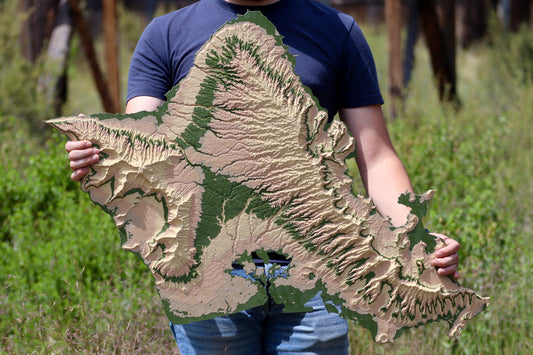 Custom 3' XL